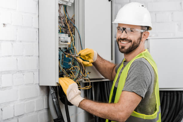 Best Electric Panel Repair  in West Canton, NC